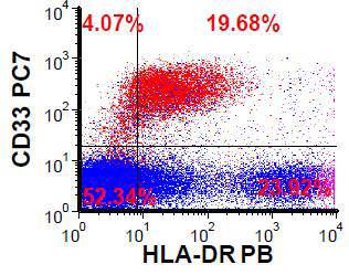 Flow cytometry CD33 vs HLA-DR